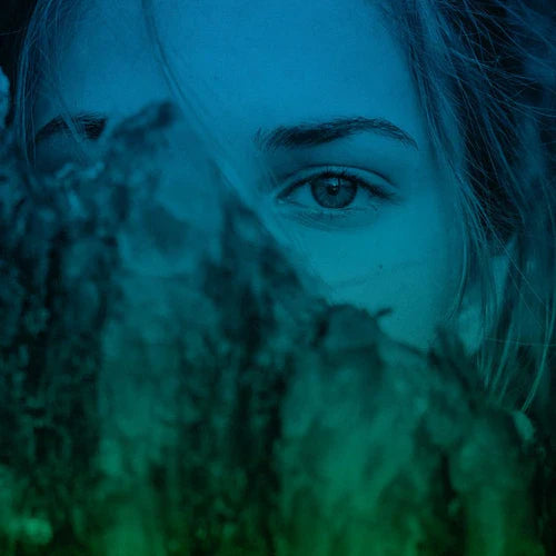 The Feminine Vision For Our World