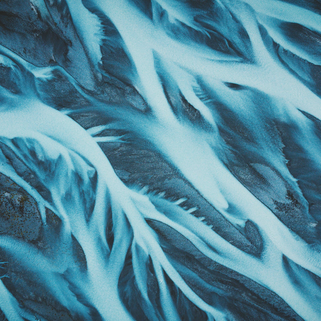 2hr Complimentary Group Session- August 9th